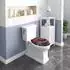 Woltu WC-Sitz oval, Duroplast, Absenkautomatik, rose (WS2547)