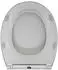 PRIMASTER WC-Sitz Manhattan mit Absenkautomatik, abnehmbar
