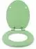 Sanfino WC-Sitz Mint Green mit Absenkautomatik, Holz
