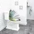 Woltu WC-Sitz mit Absenkautomatik, Duroplast, oval, rosa Malve (WS2589)
