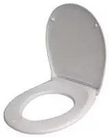 WC-Sitz mit Absenkautomatik