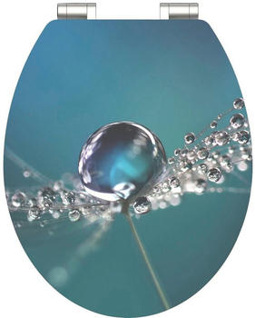 Schütte Water Drop (41319947)