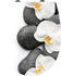 Cornat Orchidee (35449852)