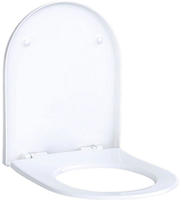 Acanto Wc-sitz Slim Mit Deckel, Mit Quick-release, Mit - Geberit
