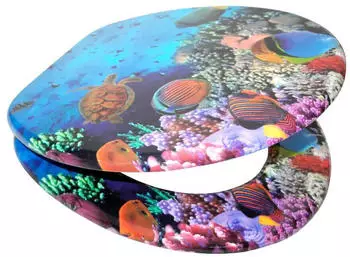 Sanilo Ocean (19795605)