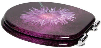 Sanilo Purple Dust (46418266)