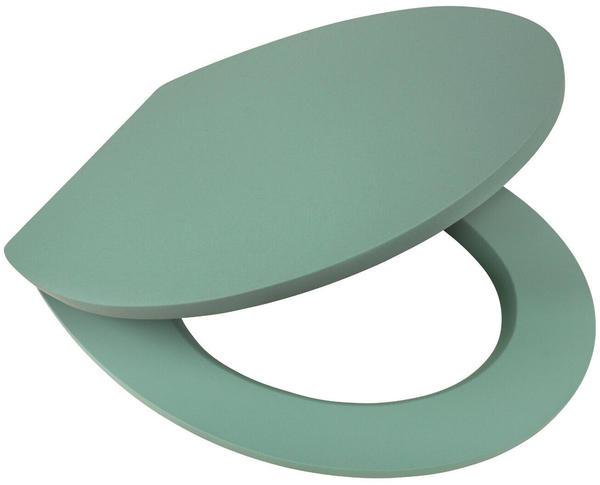 Sitzplatz Trend Holzkern Absenkautomatik Soft-Touch O-Form grün (407311)