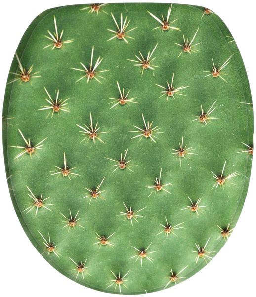 Sanilo Kaktus