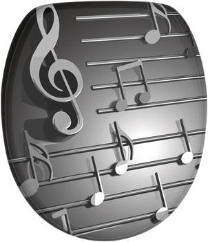 Sanilo Musical Notes