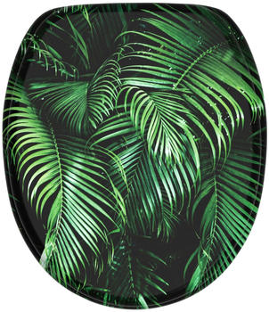 Sanilo Palmdream