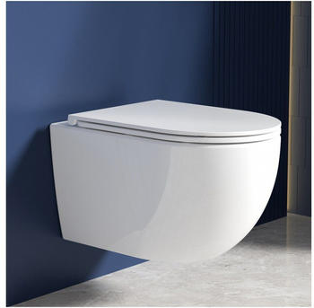 Rainsworth Hänge WC spülrandlos 48,5 cm Keramik weiß (RW-MT01)