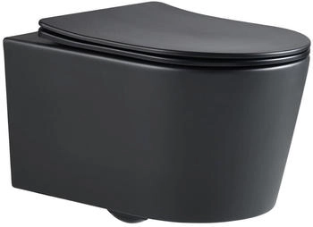 SAT Brevis WC Hinterer Ablauf (SATBRE010RREXPBKM)