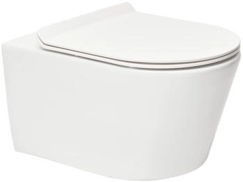 SAT Brevis WC Hinterer Ablauf (SATBRE011RREXP)
