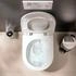 Hansgrohe Wand WC Set EluPura Original S 540mm (62050450)
