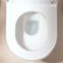 Hansgrohe Stand WC EluPura (61176450)