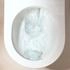 Hansgrohe Stand WC EluPura (61176450)