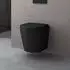 doporro Aachen108 Wand-WC spülrandlos Schwarz Matt Softclose (Aachen108)