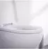 Bernstein Wand-WC spülrandlos Soft-Close-Deckel Nano-Beschichtung (E-9030)