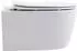 BELVIT PRO Wand-WC randlos, weiß, Softclose-Sitz (BV-HW2906)