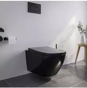 Bernstein Pro+ 1104 Dusch-WC Komplettanlage sp&uuml;lrandlos schwarz