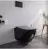 Bernstein Pro+ 1104 Dusch-WC Komplettanlage spülrandlos schwarz