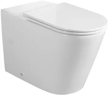 Sapho AVIS Vortex Rimless WC-Kombischüssel Vario-Abgang, weiß (PC106-111)