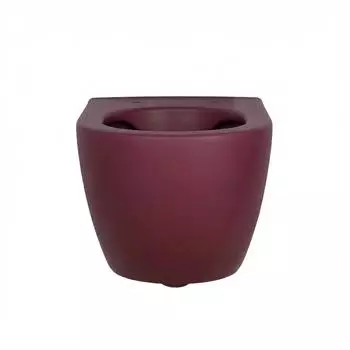 Creavit Berry Wand-WC randlos, antibakteriell, wassersparend (FE322-11BR00E-0000)