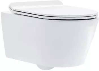 Bernstein 1088R Wand-WC sp&uuml;lrandlos, wei&szlig; gl&auml;nzend, Softclose-Deckel (1088R)