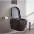 Bernstein B-8030R Wand-WC schwarz matt, spülrandlos, Softclose-Sitz (B-8030R)