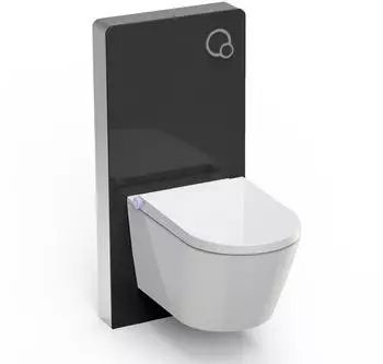 Bernstein Basic 1102 Dusch-WC mit Sanit&auml;rmodul 805, schwarz