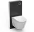 Bernstein Basic 1102 Dusch-WC mit Sanitärmodul 805, schwarz