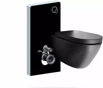 Bernstein B-8030R Wand-WC ohne Rand, schwarz, mit Sanit&auml;rmodul 805 (B-8030R)