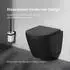 AM.PM Flash AquaSpin Wand-WC spülrandlos mit WC-Sitz Duroplast, schwarz (CNA1901PMBSC)