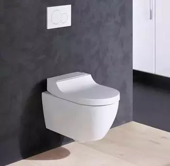 Geberit AquaClean 55 x 35 cm weiß AquaClean (146090111)