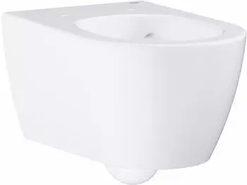 GROHE Essence 36 x 54 cm weiß alpin mit PureGuard (3957100H)