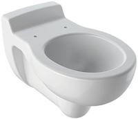 Geberit Wand-tiefsp&uuml;l-wc Kind 535mm Ausladung Wei&szlig;