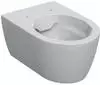 Toilettenschüsseln