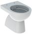 Geberit Renova Stand-Tiefspül-WC L: 54 B: 35,5 H: 40 cm ohne Spülrand, weiß 500399012