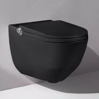 Laufen Cleanet Riva Dusch-WC Komplettanlage mit WC-Sitz (H8206917160001)