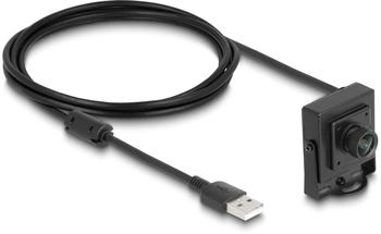 DeLock USB 2.0 Kamera 2,1 Megapixel 100° Fixfokus Webcam Schwarz (96403)