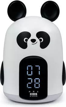 Bigben AU387018