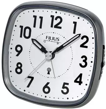 Filius 0608-4