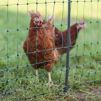 AKO PoultryNet Premium 50m Geflügelnetz 106cm 15 verstärkte Pfähle 2 Spitzen grün
