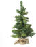 Feeric Lights & Christmas Small Chistmas Tree Blooming 146858