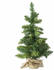 Feeric Lights & Christmas Small Chistmas Tree Blooming 146857