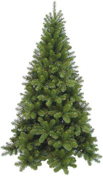 Triumph Tree Christmas Tree Tuscan 792166