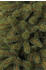 Dehner Bristlecone 155cm (398725)