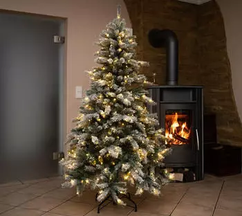 Evergreen Fichte Frost 210 210 beleuchtet (PGTG70M3AXJL00)