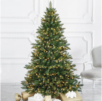 FairyTrees Nordmanntanne 180cm (FT14)