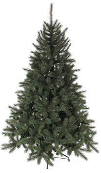 Black Box Trees Toronto deluxe 155cm